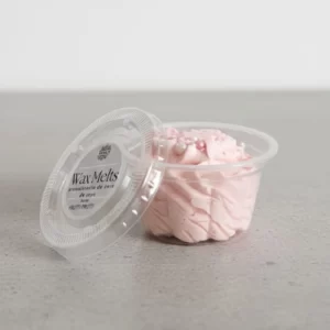Wax Melts de Mango – Formato Postre